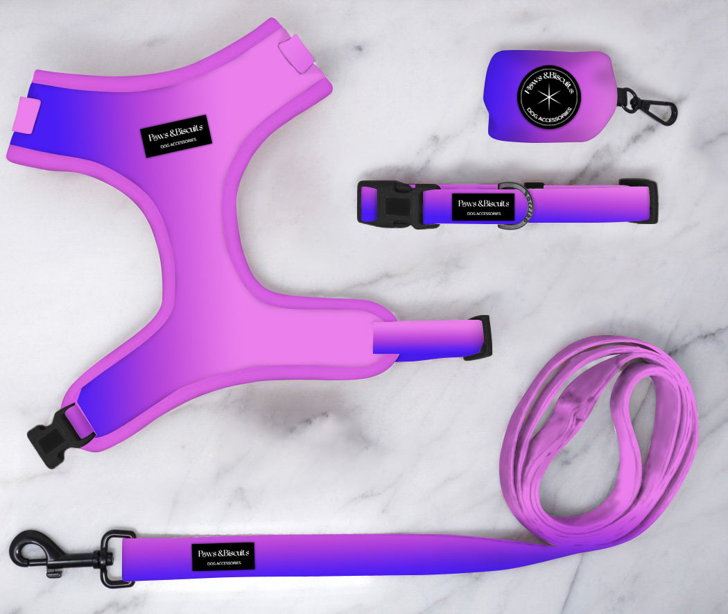 Blossom Bundle