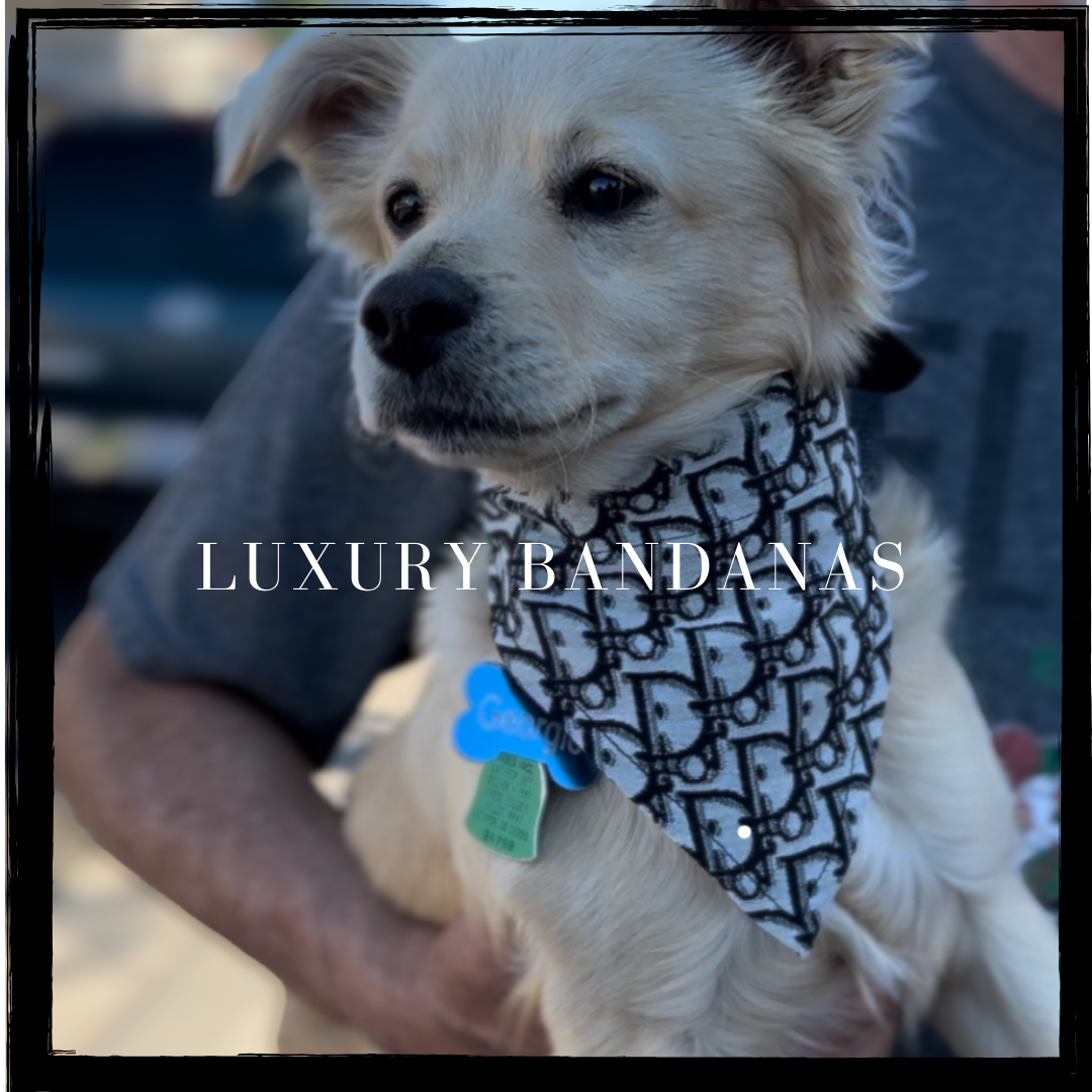 Luxury Bandanas