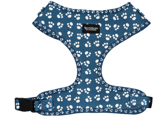 Indigo Harness