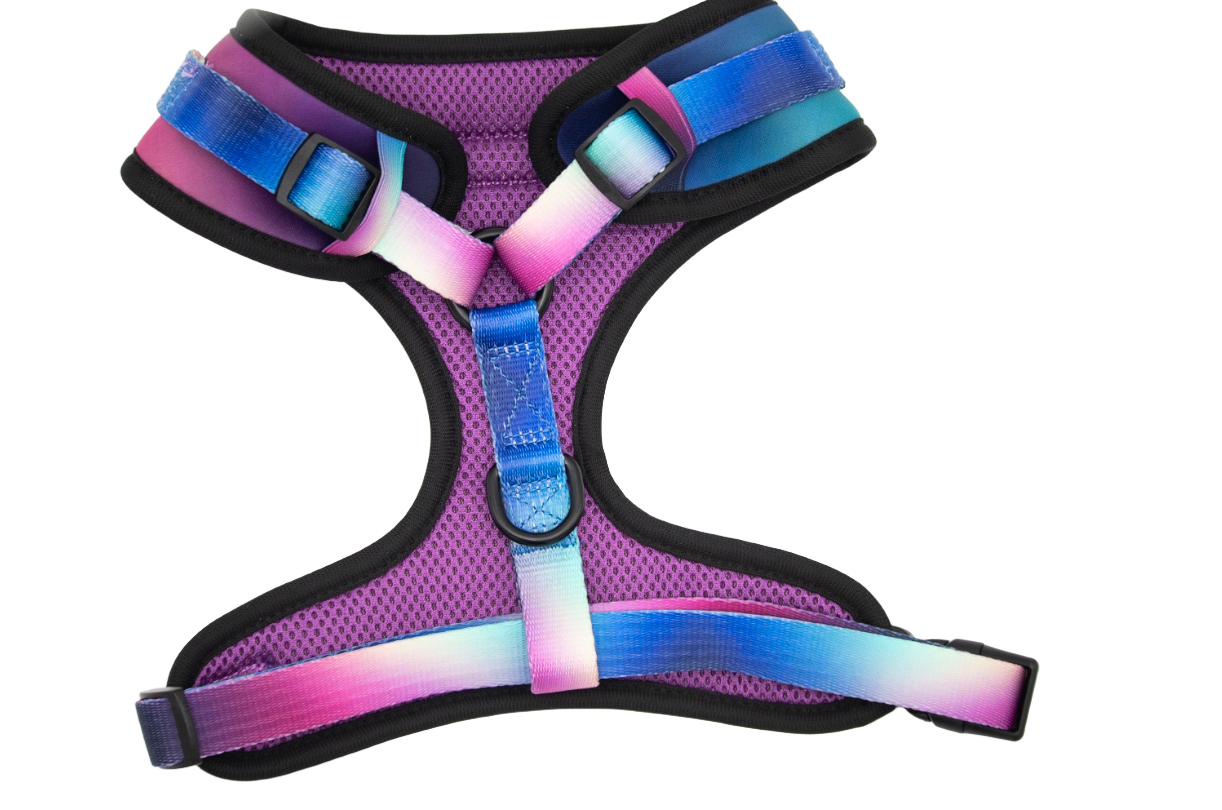 Twilight Harness