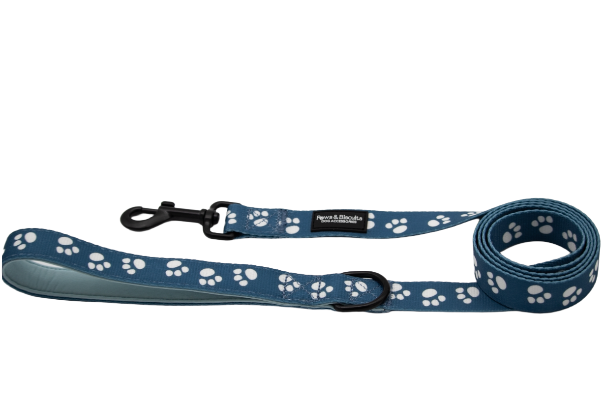 Indigo Leash