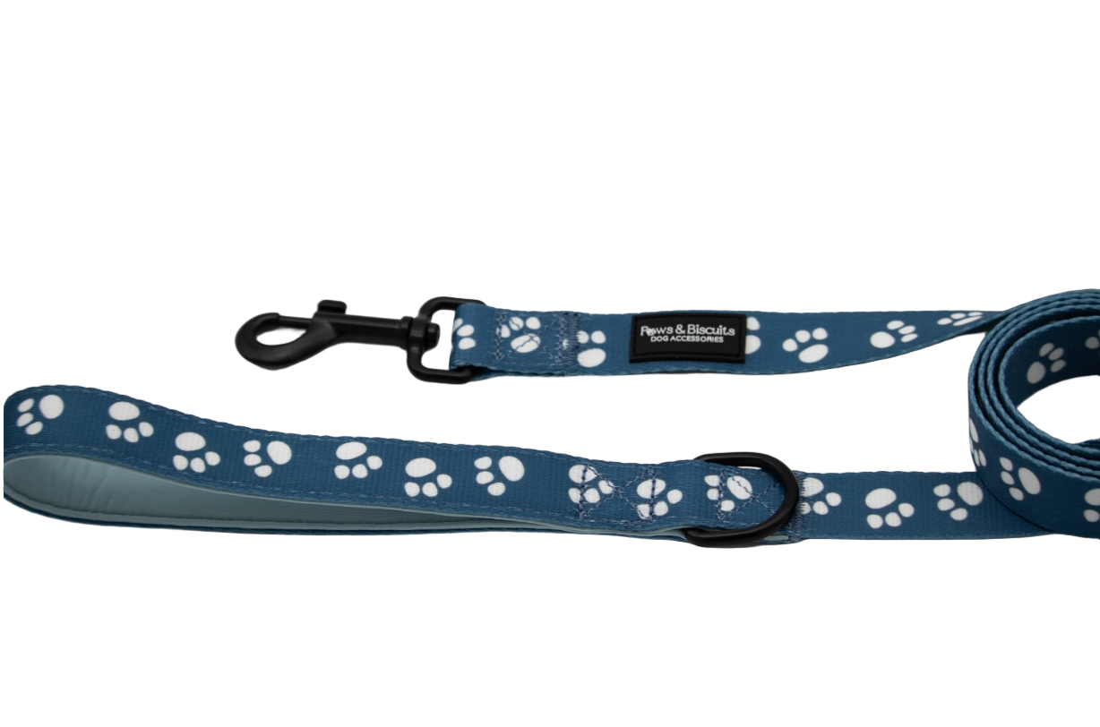 Indigo Leash