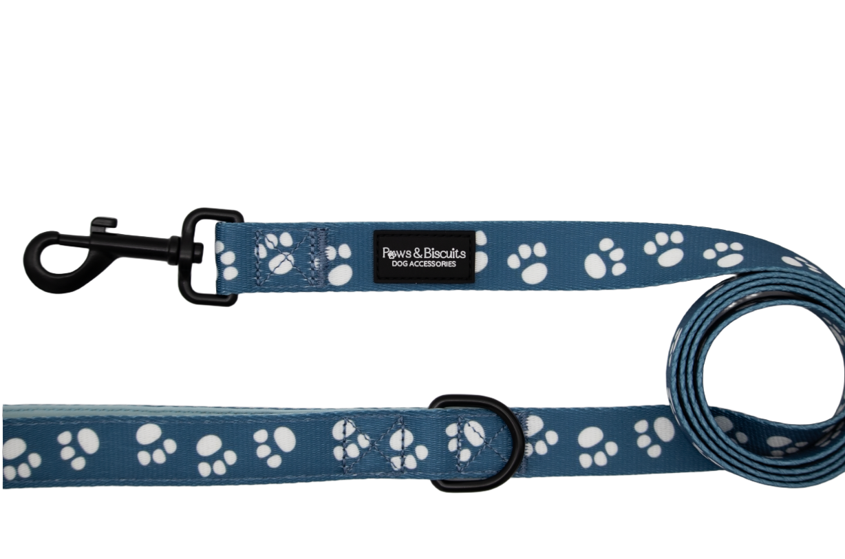 Indigo Leash